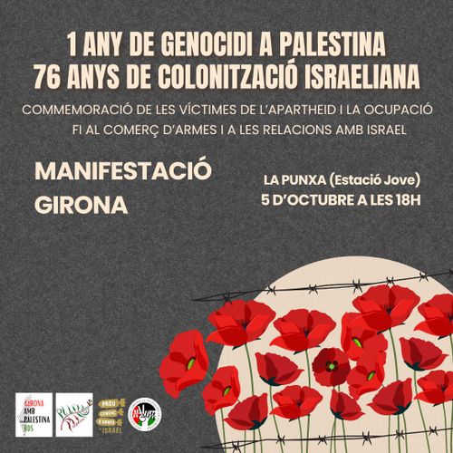 Manifestació en solidaritat amb el poble palestí