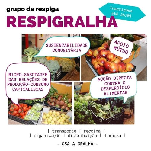 Respigralha: Grupo de Respiga do CSA A Gralha