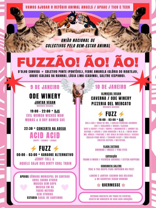 O Fuzzão! Ão! Ão!