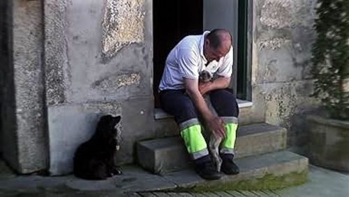 CinemaVivo - CANIL, de Miguel Marques