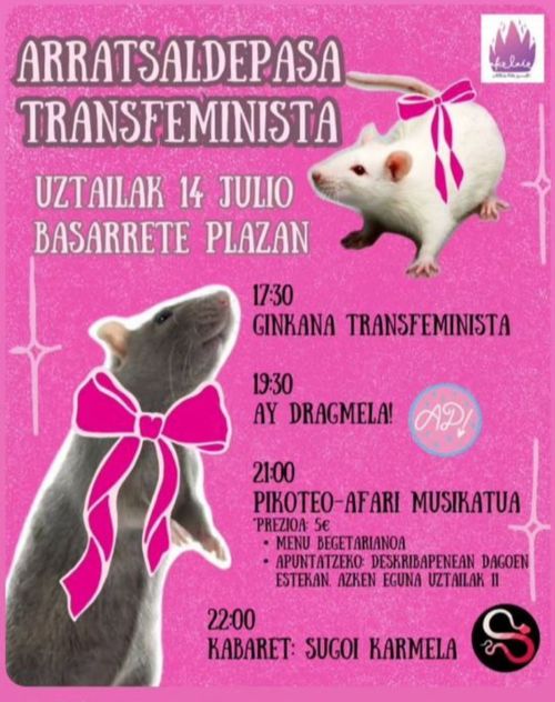 ARRATSALDEPASA TRANSFEMINISTA