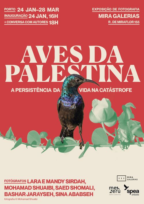 Exposição Aves da Palestina