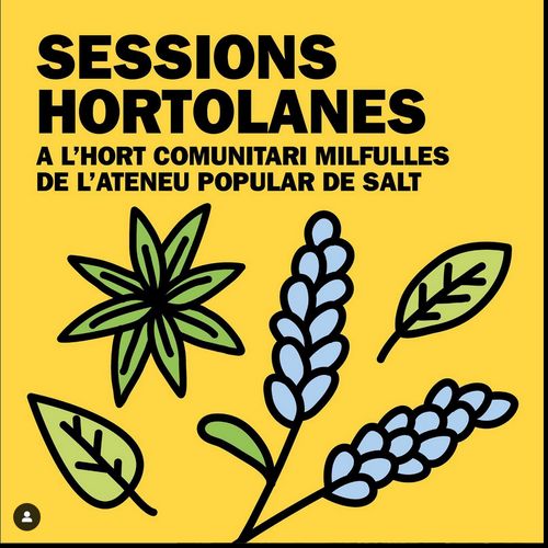 Sessions hortolanes a l’hort de l’ Ateneu de Salt amb Les Milfulles