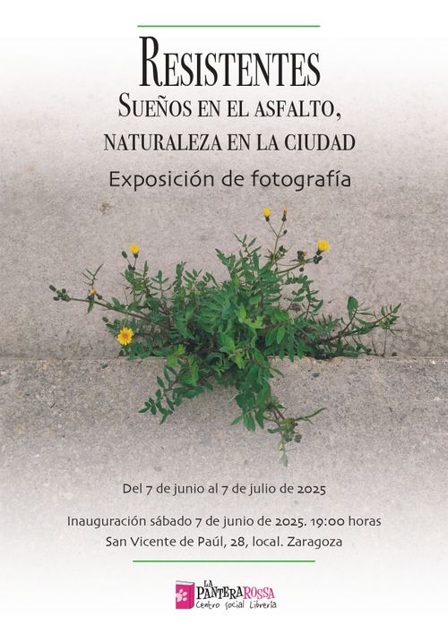 Inauguración exposición 'Resistentes' 