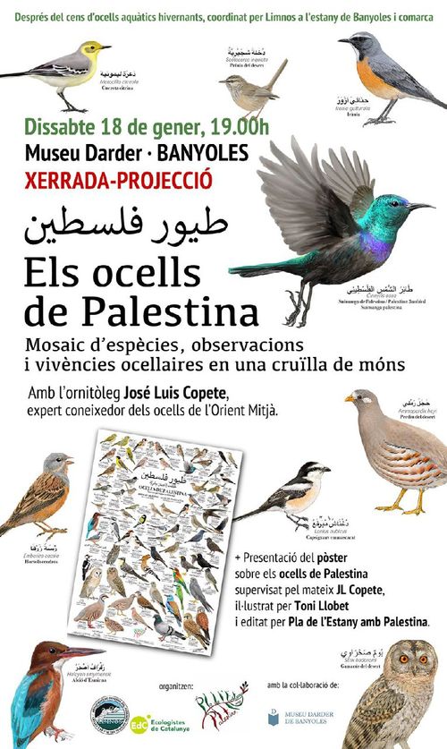 Els ocells de Palestina 